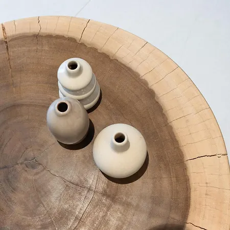 World Luxury * 特里卡拉